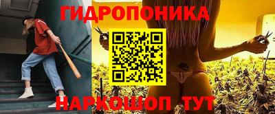 соль ск Партизанск