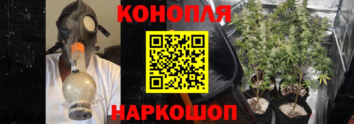 Шишки марихуана AK-47  Бошки Шишки конопля  Сергиев Посад  Канабис Amnesia  Бошки Шишки план  Вход с VPN 